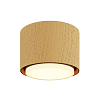 Потолочный светильник NUVOLT LDL-007RW 100_100_2883673
